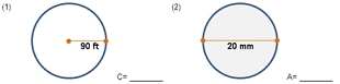 Circle - Area & Circumference -  Math Worksheet Sample Dynamic